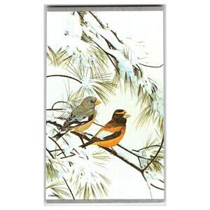 Evening Grosbeaks Birds Snow Pine Branches Postcard Robert G. Barrett Art